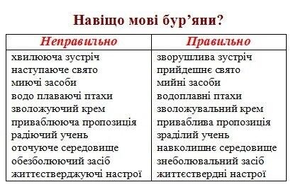 день писемности_1.jpg