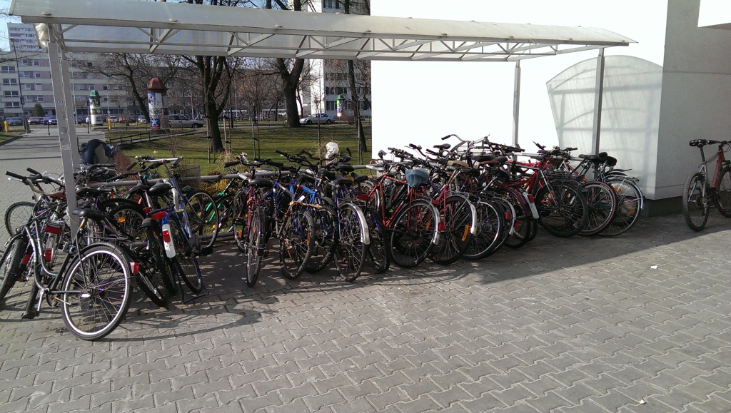 IMAG0731.jpg